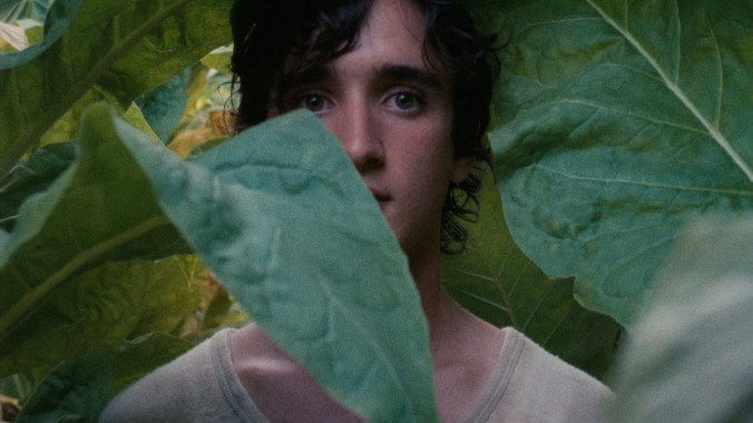 lazzaro