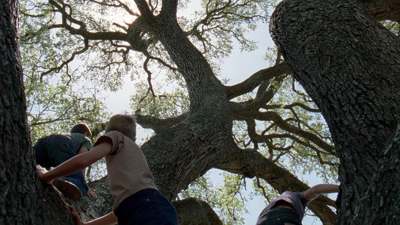 1_vyB1Ek2w_LaGy-MuHNM6pg